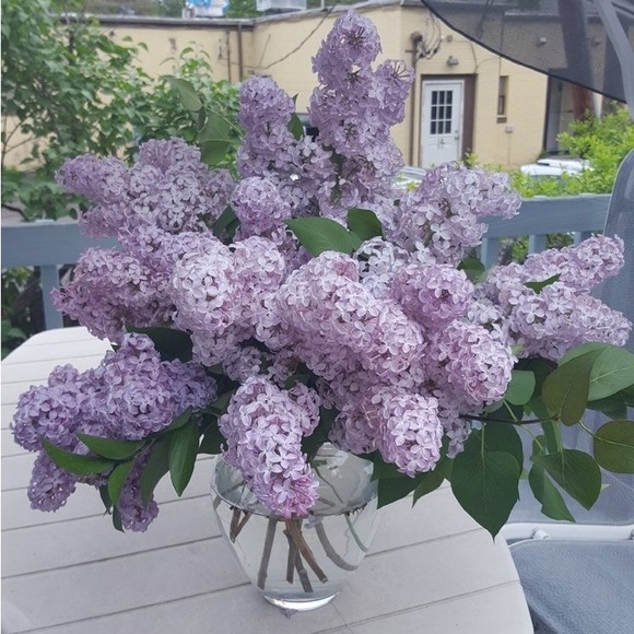 Reserved - Picture 1 of 1